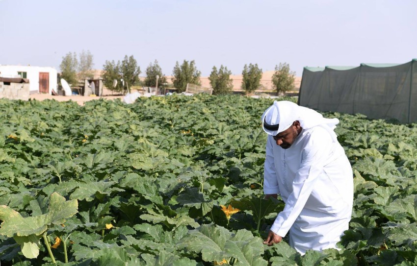agricultural sector